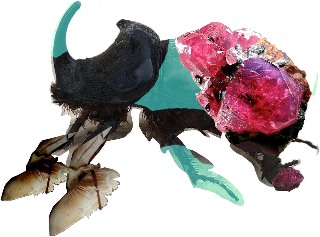 scara-002tr.png